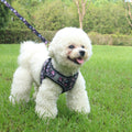 Small Dog & Cat Harness Leash Set